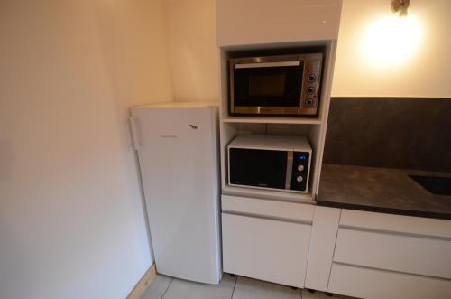 a small kitchen with a microwave and a refrigerator at Chalet Silene in Le Bourg d'oisans