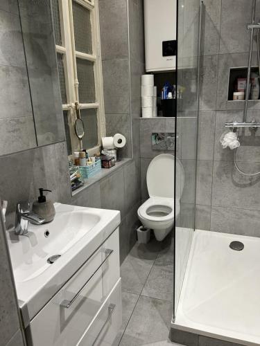 une salle de bain avec toilettes, lavabo et douche dans l'établissement Comfortable 40 m love cocoon, à Lyon