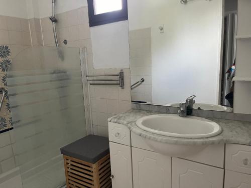 une salle de bain avec un lavabo et une douche dans l'établissement Les Lavandes, à Saint-Cyr-sur-Mer