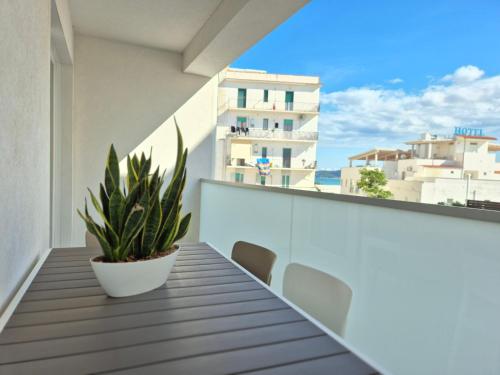 a balcony with a potted plant on a building at Casita Isabella in Vieste