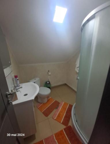 a bathroom with a white sink and a toilet at Casa Vasy in Vatra Dornei