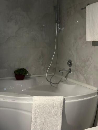 a bathroom with a bath tub with a plant on it at City Center Cacak in Čačak