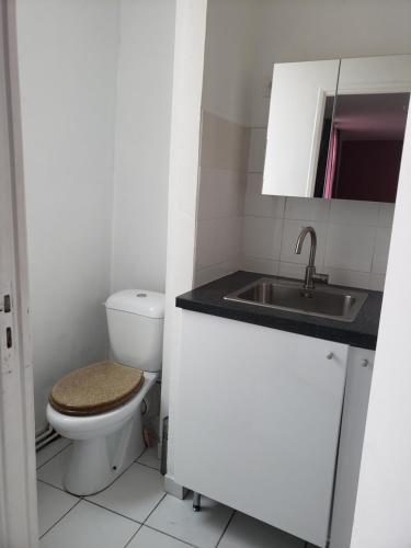a small bathroom with a toilet and a sink at LE CEDRE in Saint-Denis