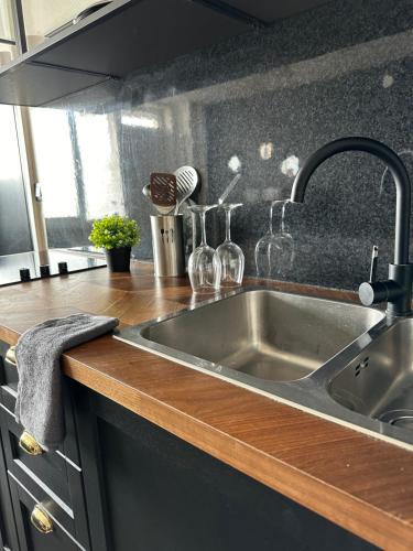 une cuisine avec un évier en acier inoxydable dans l'établissement Appartement Citadelle 0, à Dunkerque