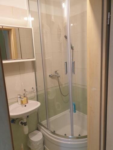 La salle de bains est pourvue d'une douche, de toilettes et d'un lavabo. dans l'établissement Apartments Dubravka, à Split