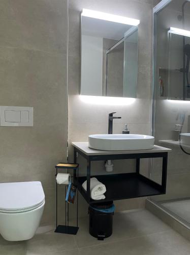 a bathroom with a sink and a toilet and a mirror at Stylish apartment with mountain view in Lenzerheide