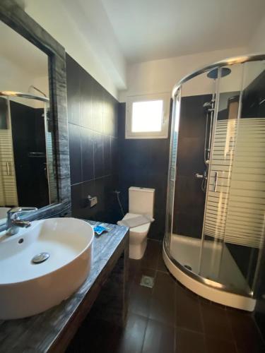 Un baño con lavabo, ducha e inodoro. en VILLA LIA-SKIATHOS-PRIVATE POOL-, en Skiathos