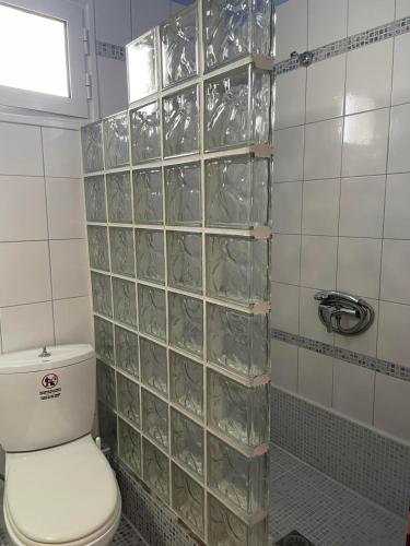 a bathroom with a toilet and a glass block wall at Nepheli in Paralia Katerinis