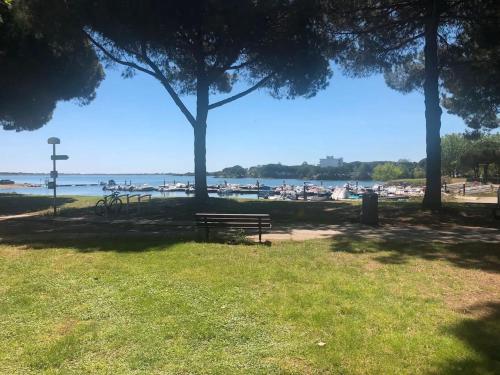 un parc avec un banc et un vélo sous un arbre dans l'établissement Studio très beau quartier le Ponant avec piscine Résidence Port Vincent, à La Grande Motte