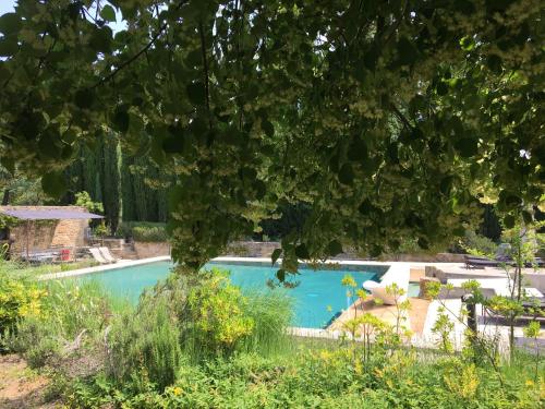 ein Schwimmbad mit einem Baum im Vordergrund in der Unterkunft B&B Petite Maison Le Jardin in Vaison-la-Romaine