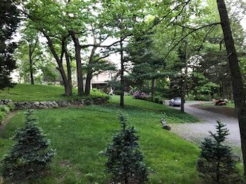 a grassy yard with trees and a driveway at Harvard House-The Gathering Place in Waltham