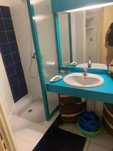 une salle de bain avec un lavabo et un miroir dans l'établissement Appartement dans résidence pour 4 personnes à Port Camargue Le Grau-du-Roi, au Grau-du-Roi