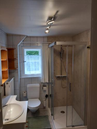 a bathroom with a shower and a toilet and a sink at Haus Klinger in Gaschurn