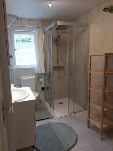 La salle de bains est pourvue d'une douche et d'un lavabo. dans l'établissement Haus Klinger, à Gaschurn