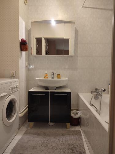 une salle de bain avec un lavabo et une machine à laver dans l'établissement Appartement Orsay Grand Paris, à Orsay