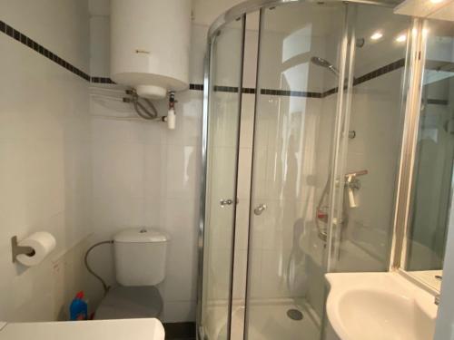 une salle de bain avec une douche, des toilettes et un lavabo dans l'établissement F1 confortable à Balaruc-les-Bains avec climatisation et animaux admis - FR-1-503-28, à Balaruc-les-Bains