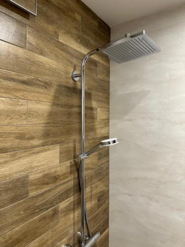 a shower in a bathroom with a wooden wall at Apartment G17 in Pernik