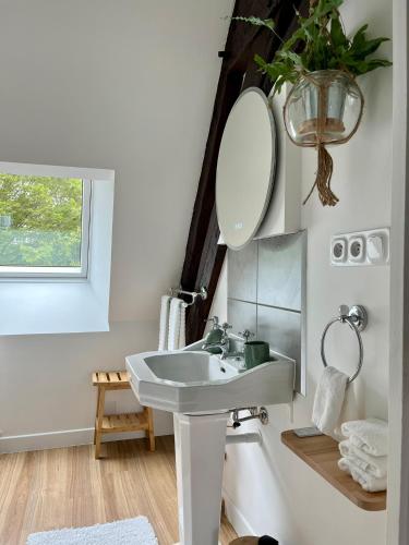 une salle de bain avec un lavabo et un miroir dans l'établissement O2 Tours, à Ourouer-lès-Bourdelins