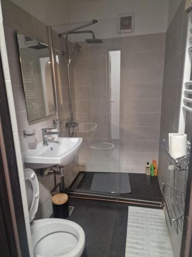 y baño con ducha, aseo y lavamanos. en Apartament Gara de Nord en Bucarest