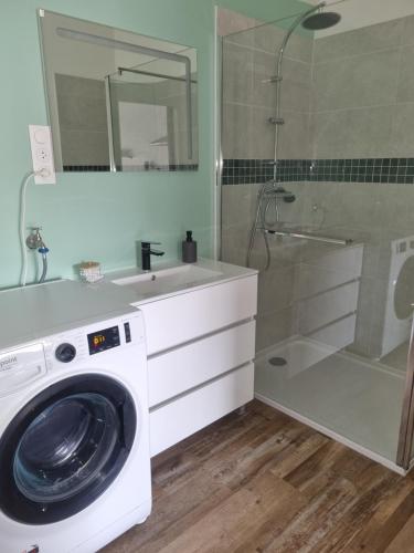 y baño con ducha y lavadora. en Gîte de l'impasse, en Almenêches