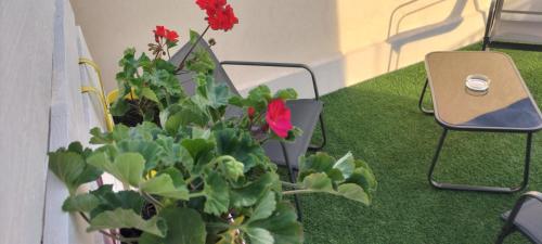 a room with some plants and a table and chairs at Perla marina in Avola