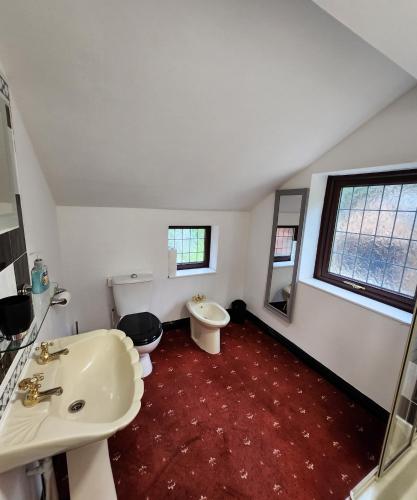 a bathroom with a sink and a toilet and a mirror at Rainsough Cottage Guest House - Sleeps upto 8 with ensuite - Free Parking & WiFi in Manchester