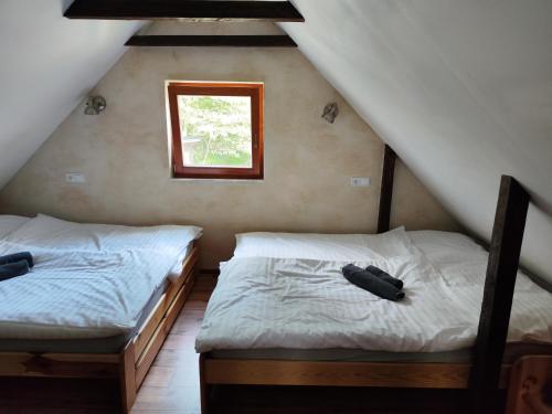 2 Einzelbetten in einem Zimmer mit Fenster in der Unterkunft horská chata Cecilie in Olešnice v Orlických horách