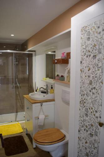 une salle de bain avec une douche, des toilettes et un lavabo dans l'établissement Gîte du Levant 76, à Saint-Pierre-lès-Elbeuf