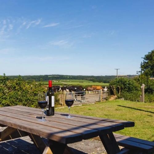 a wooden picnic table with two glasses of wine at Broomhill Barns in Minwear