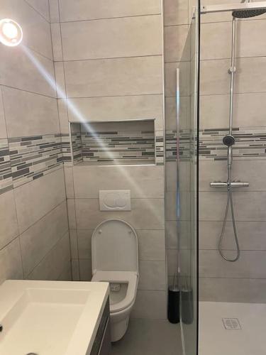 une petite salle de bain avec toilettes et douche dans l'établissement Studio à deux pas de la plage, à Nice