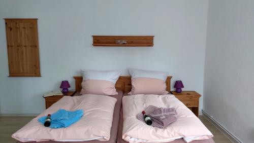 2 aparte bedden in een kamer met paarse lampen bij Ferienhaus Johanna in Alberthain