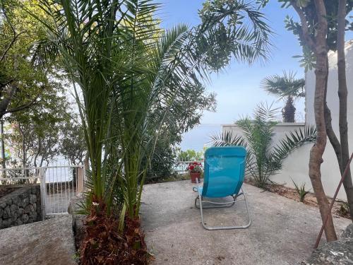 a blue chair in a garden with palm trees at Sea Breeze Apartments in Starigrad-Paklenica