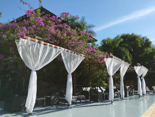 a row of white umbrellas with purple flowers at Hotel Raices Esturion in Puerto Iguazú