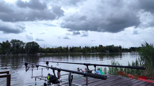 a dog is standing on a dock on a lake at Dunaparti vendégház in Ráckeve