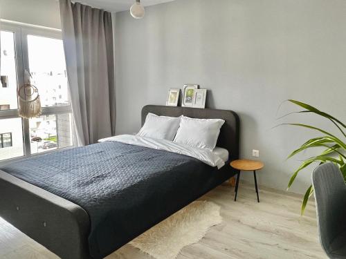 a bedroom with a bed and a plant and a window at Blue Boho Studio Brasov with Terrasse and Panoramic view in Braşov