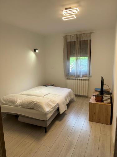una camera da letto con un letto, una televisione e una finestra di Apartma Anže Samec a Dobravlje