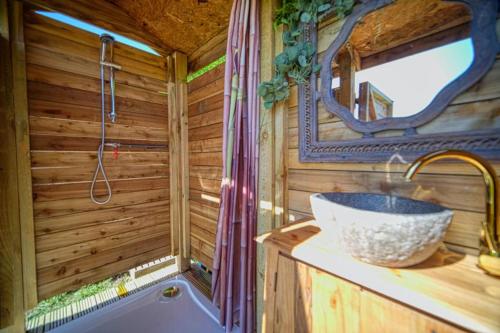 ein Bad mit einem Waschbecken und einem Spiegel in der Unterkunft Wild Retreat in Cawston