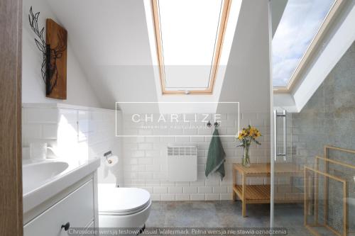 a bathroom with a toilet and a sink and a skylight at Ale Lipa - Ostoja Bukowo in Borowy Młyn