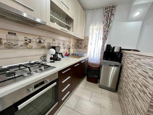 a kitchen with a sink and a stove top oven at Milea's Guesthouse in Bran