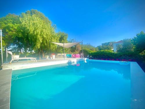里瓦羅哈德圖里亞的住宿－Yurta Arco Iris，一个带遮阳伞的大型蓝色游泳池