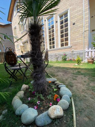 Un jardín fuera de Cape villa