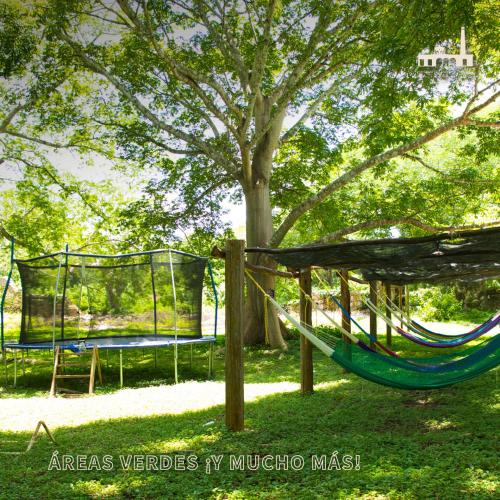 a hammock in a park with a tree at HACIENDA SANTO DOMINGO DE YUNKU in Yuncu