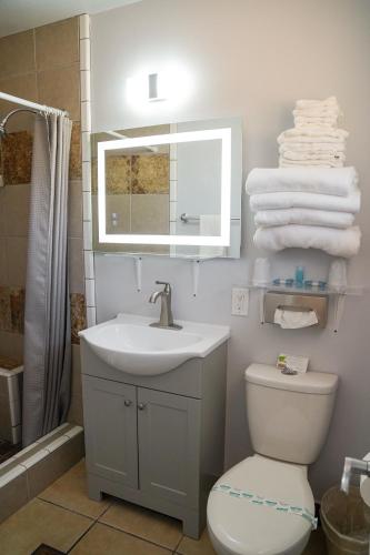 a bathroom with a sink and a toilet and a mirror at Swiss Holiday Lodge in Mount Shasta