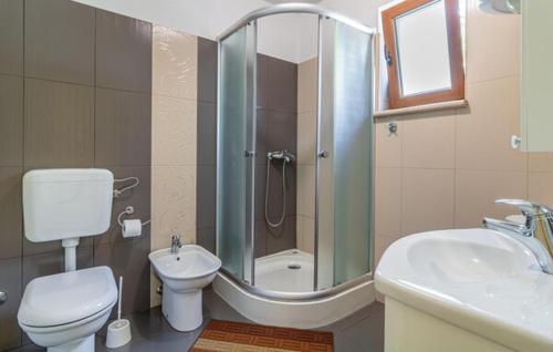 Un baño con ducha, inodoro y lavabo. en Apartmani Antonio, en Motovun