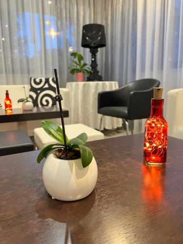 un tavolo con un vaso con una pianta e una bottiglia di Hotel Betty a Rimini