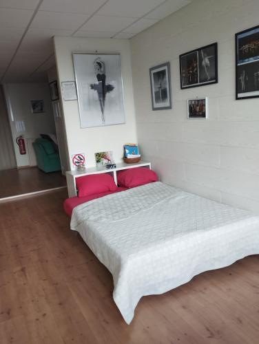 une chambre avec un grand lit blanc avec des oreillers rouges dans l'établissement Appartement de Danseuse Etoile, à Bordeaux