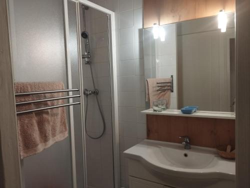 une salle de bain avec un lavabo et une douche avec un miroir dans l'établissement Appartement de Danseuse Etoile, à Bordeaux