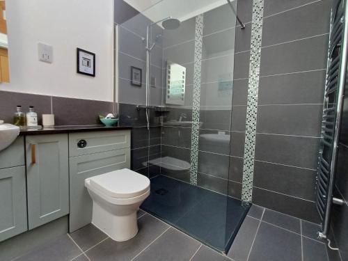 uma casa de banho com um chuveiro, um WC e um lavatório. em The Old Potting Shed em York