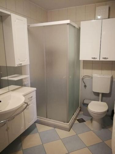 a bathroom with a shower and a toilet and a sink at Snoopy House in Žužemberk