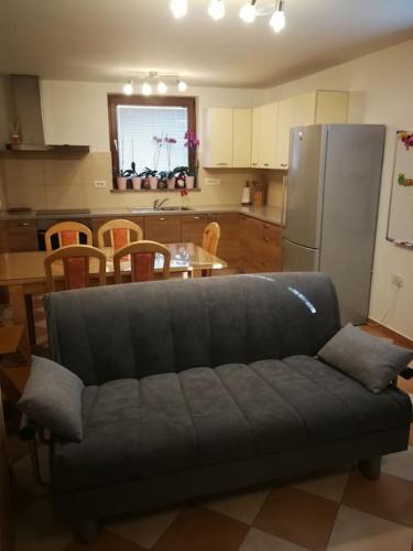 a living room with a couch in a kitchen at Snoopy House in Žužemberk